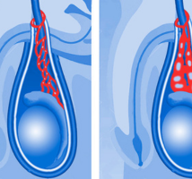 Untitled design (17)